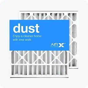 AIRx DUST Air Bear